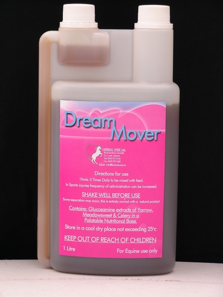 DREAM MOVER